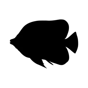 Black Silhouette Fish Vector Graphic