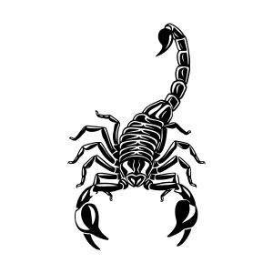Black Silhouette Scorpion Vector Illustration