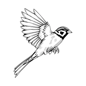 Flying Bird Illustration - Black & White Line Art