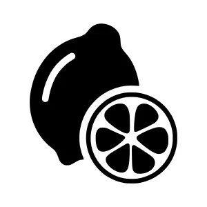 Lemon Slice Icon - Black Silhouette