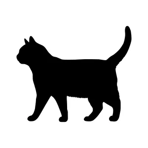 Black Cat Silhouette Vector Graphic
