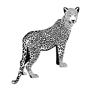 Leopard Silhouette Black and White Graphic