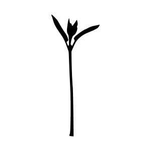 Black Seedling Silhouette - Minimalist Plant Icon
