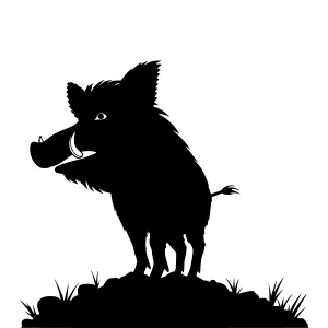 Silhouette Wild Boar on Hillside