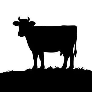 Silhouette Cow on Grass - Black Outline Vector