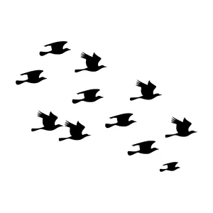 Silhouette Flock of Birds - Minimalist Design