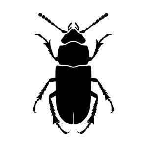 Black Beetle Silhouette Vector Icon