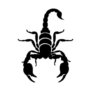 Black Silhouette Scorpion Vector Graphic