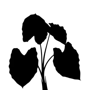 Black Leaf Silhouette Vector Illustration