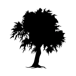 Black Tree Silhouette Vector Illustration