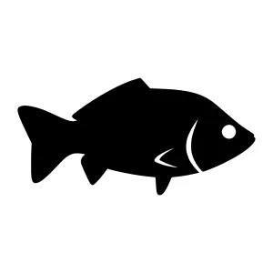 Black Fish Silhouette Icon
