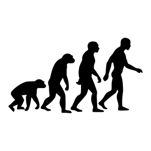 Evolution Silhouettes - Human Ancestry Graphic