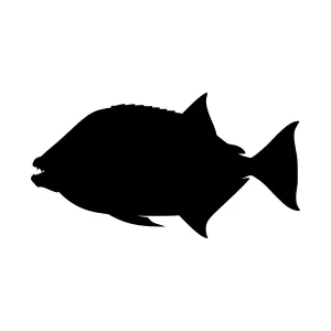Silhouette Fish Vector Graphic