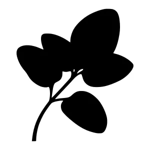 Black Leaf Silhouette Vector Illustration