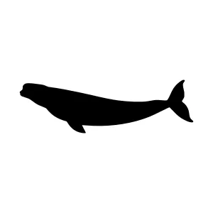 Silhouette Whale Vector Graphic