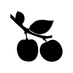 Black Plum Silhouette Icon