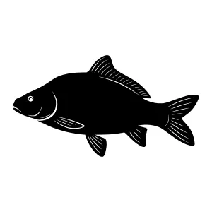 Black Fish Silhouette Vector Illustration