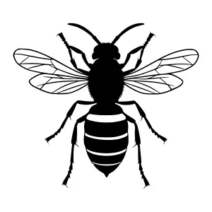 Black Bee Silhouette Vector Illustration
