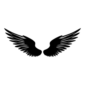 Black Wings Silhouette - Dreamy Flight