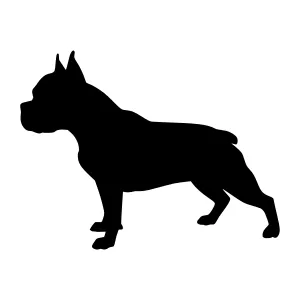 Black Silhouette Boxer Dog