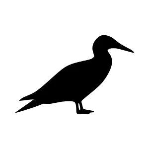 Black Bird Silhouette Vector Illustration
