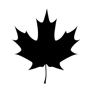 Black Maple Leaf Silhouette