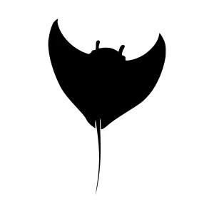 Silhouette Stingray Vector Graphic