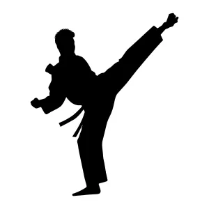 Karate Silhouette - Dynamic Action Pose