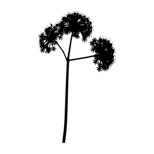 Dandelion Silhouette - Minimalist Black & White