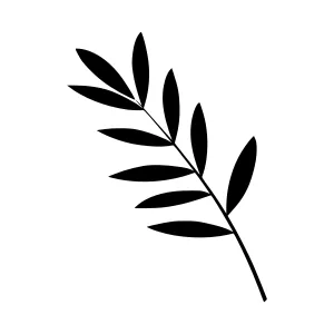 Black Leaf Silhouette Vector Illustration