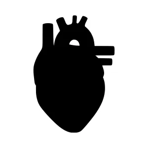 Heart Icon - Black Silhouette Vector