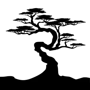 Black Silhouette Bonsai Tree
