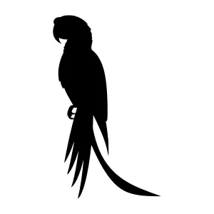 Black Parrot Silhouette Vector Illustration
