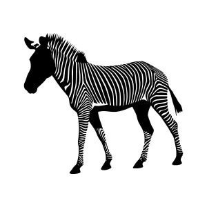 Silhouette Zebra Graphic Vector Illustration