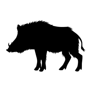 Silhouette Wild Boar - Black Animal Vector