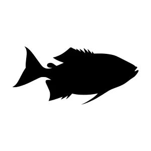 Black Fish Silhouette Vector Icon