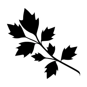 Black Leaf Silhouette Vector Illustration