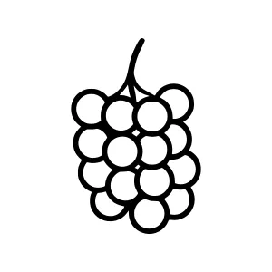 Black Grape Cluster Icon - Line Art