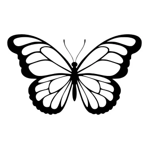 Black Butterfly Silhouette Vector Illustration