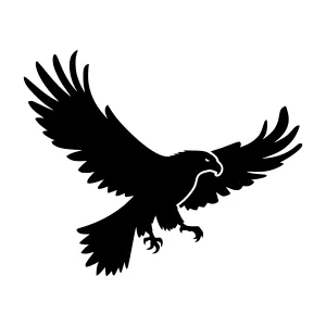 Black Eagle Silhouette Flying