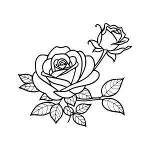 Black Rose Illustration - Floral Outline Design