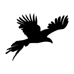 Silhouette Eagle Flying - Black Vector Graphic