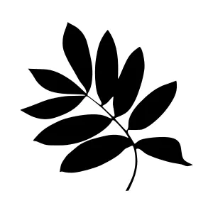 Black Leaf Silhouette - Minimalist Design