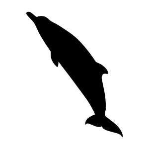 Silhouette Dolphin Jumping - Vector Graphic