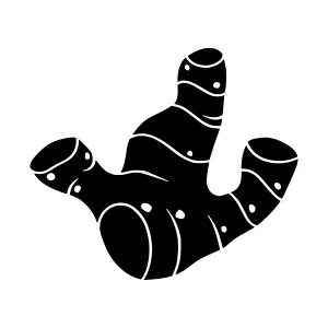 Ginger Root Silhouette Icon