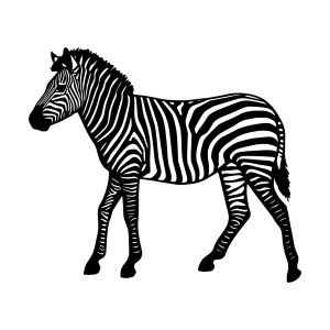 Black & White Zebra Silhouette Vector