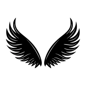 Black Wings Silhouette Design