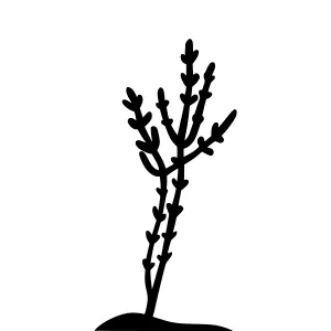 Hand-Drawn Branch Silhouette