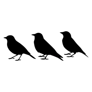 Silhouette Birds Walking - Minimalist Vector