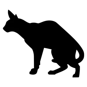 Black Cat Silhouette Vector Illustration